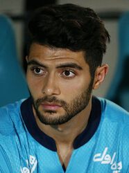 حجت حق وردی