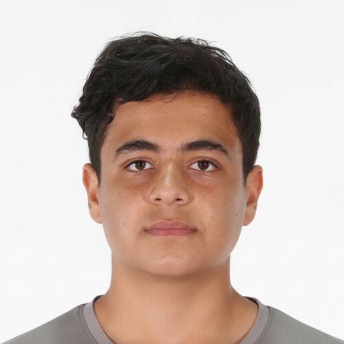 هانی نوروزی