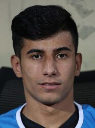 امیرمحمد پناهی