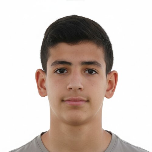 امین پیل علی