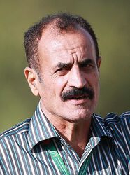 مهدی هنروری
