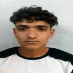 محمود پورجلالی