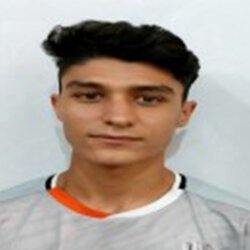 سید مهدی مهدوی