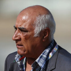محمود یاوری