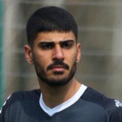 علیرضا گلی
