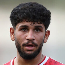 حمیدرضا چهار دولی