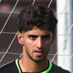 محمدمهدی نظری