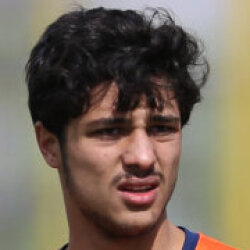 محمد فاتحی