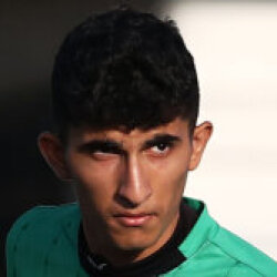 آرین حسنی