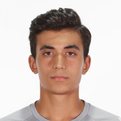 امیرپارسا حاتمی صفت