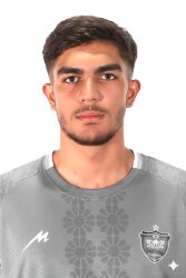 محمدطاها اسدی گاورقلعه