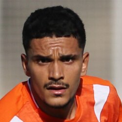 سامان مرادی