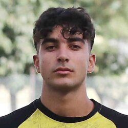 سید عماد موسوی