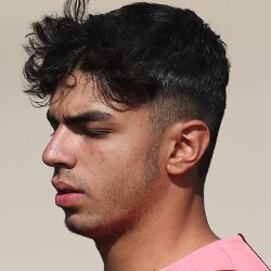 شایان اسلامی