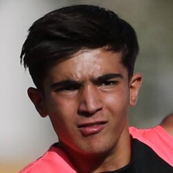 مهدی دره وارلی