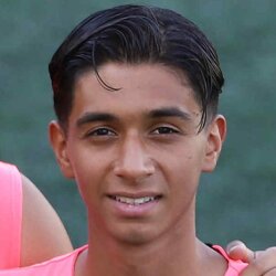 محمد امین دیناروندی