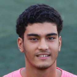 آرین قاسمی پیربلوطی