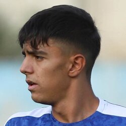 امیرمحمد لطفی قهرمانلو