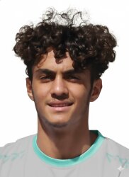 آرین رادین کیا