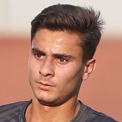 علیرضا منصوری