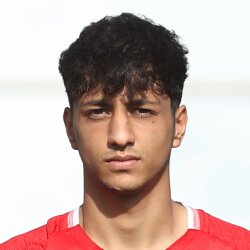 محمدامین شاهسونی