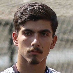 سید مجید علوی