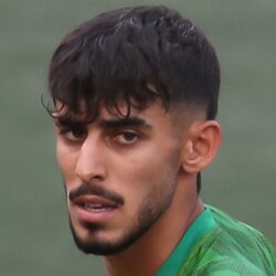 امیرحسین مشایخ حسینی