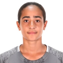 امیرمحمد برومندزاده