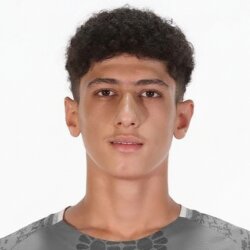 ماهان محمدی منجیری