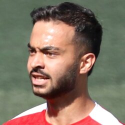 سینا برغمدی