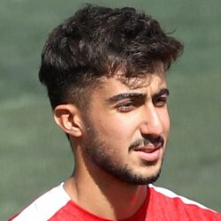 امیرحسین باصفا