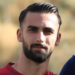 امیرمهدی همدانی ها