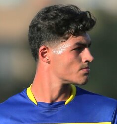 پارسا عبدالرحیمی