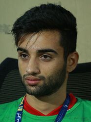 حسین غریبی
