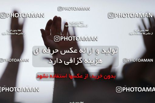 980208-13164-06-1274